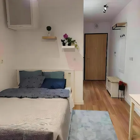 Kogar - Wiktoryn 6 Studio *