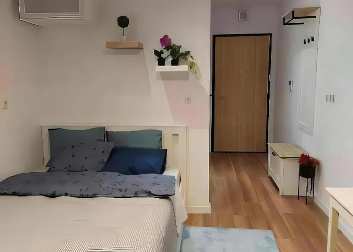 Kogar - Wiktoryn 6 Studio *